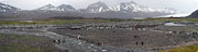 Picture 'Ant1_1_00754_00756 Aptenodytes Patagonicus, Colony, King Penguin, Penguin, Antarctica and sub-Antarctic islands, South Georgia, Fortuna Bay'